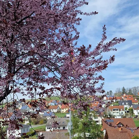 Lejlighed Auszeit Bei Wachter - Mit Terrasse & Weitblick Viereth-Trunstadt